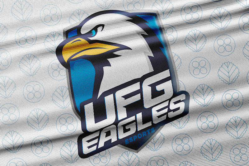 Cover image for Camiseta UFG Eagles - Pequizinhos
