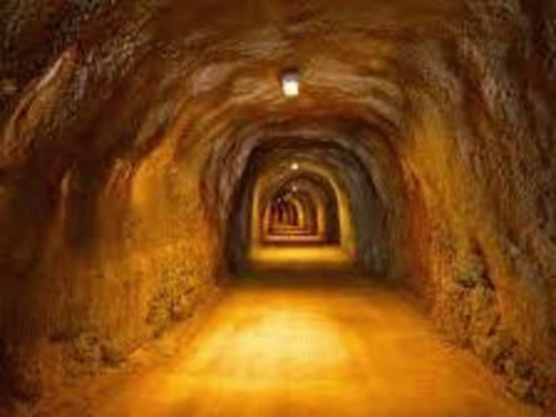 Cover image for 
The Unlikely Hero of Willowbrook