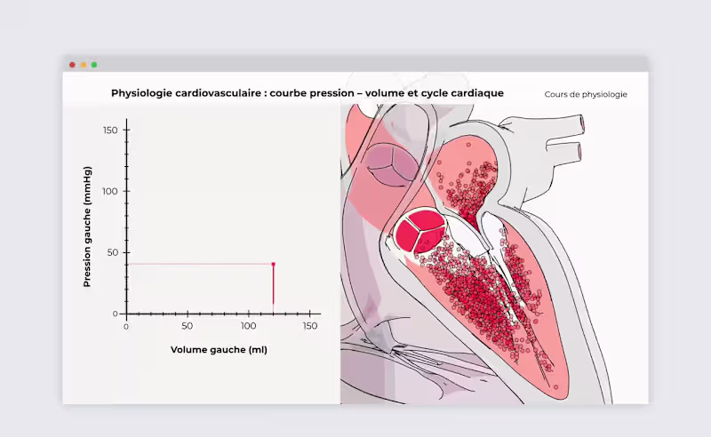 Cover image for Cardiovascular Physiology Animation Series