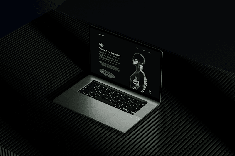 Cover image for Anima Labs - A Unique project requires 
a unique look!