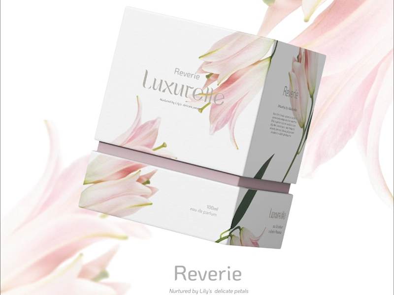 Cover image for Graphic Design for Social Media and Product Catalog