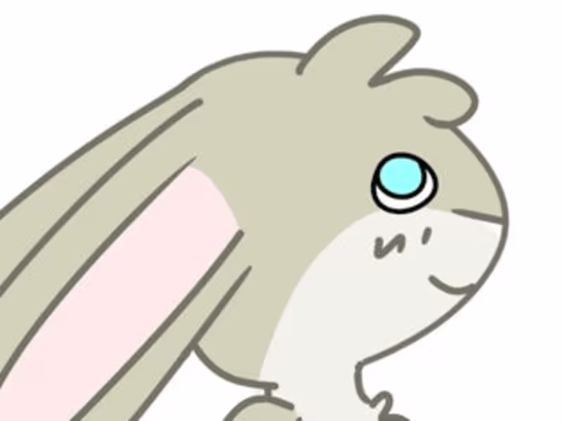 Cover image for Rabbit Coaster