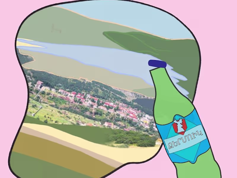 Cover image for The Women Fighting for Armenia's Environment