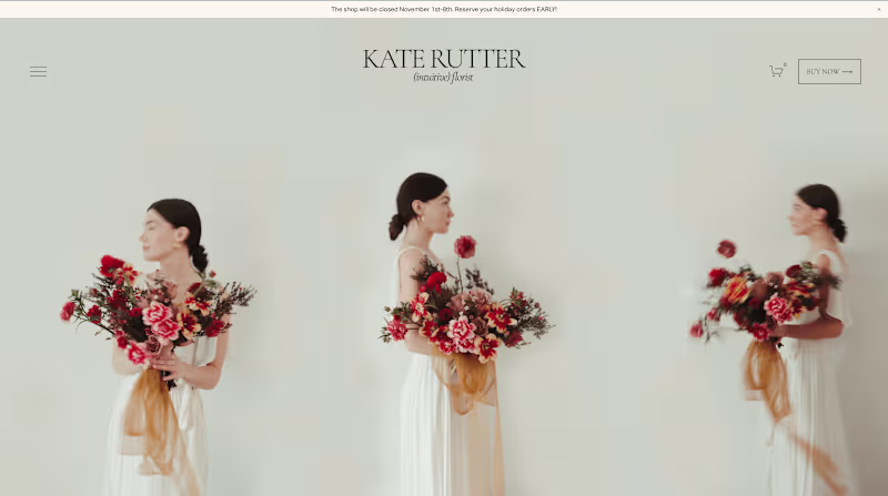 Cover image for katerutter.com