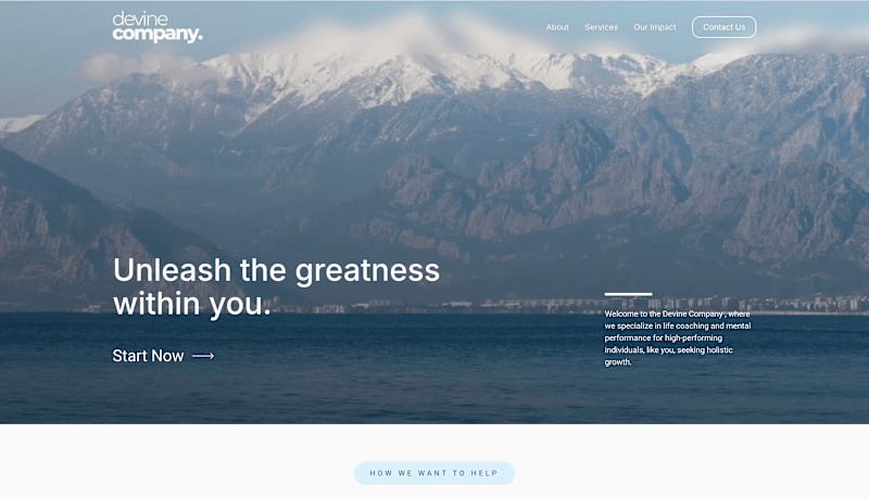 Cover image for Web Design & Messaging for The Devine Co.