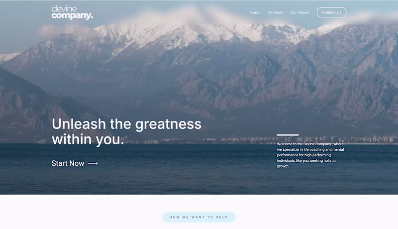 Cover image for Web Design & Messaging for The Devine Co.