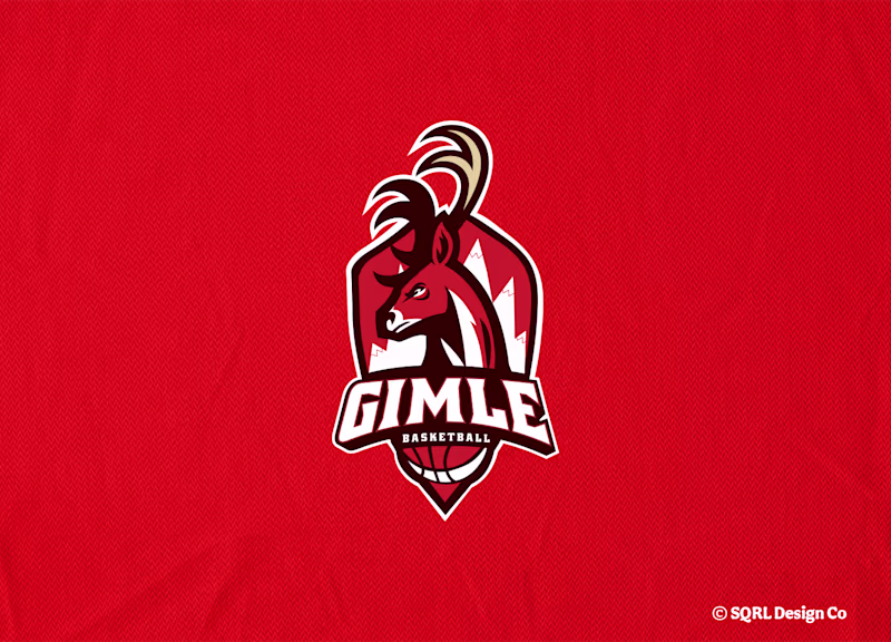 Cover image for Gimle Basketball - Concept