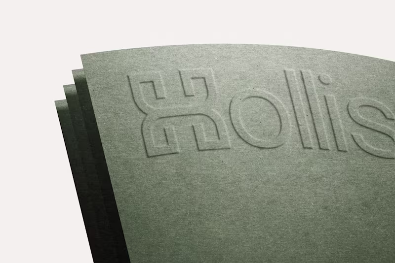 Cover image for Hollis — Interior Design Studio Branding