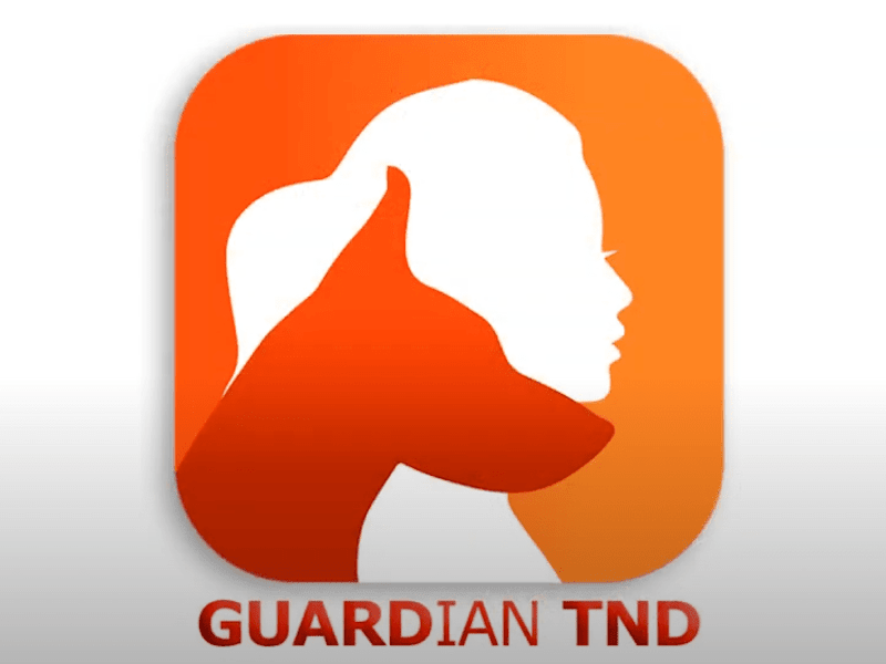 Cover image for Guardian TND