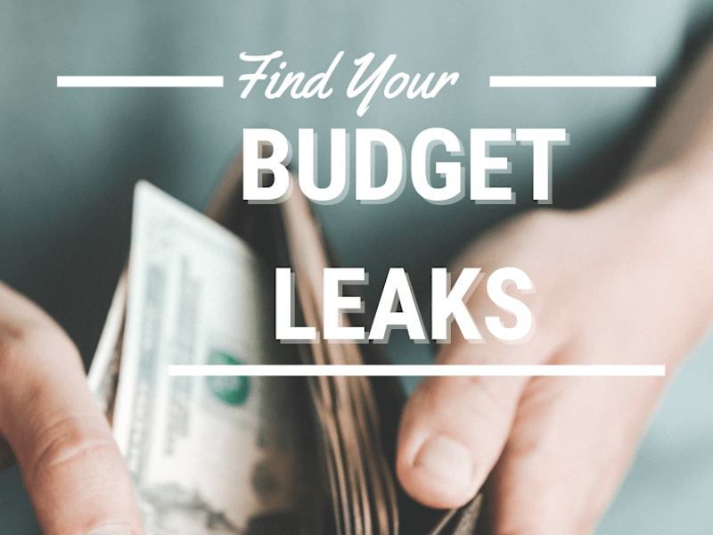 Cover image for Budget Leakage Reduction