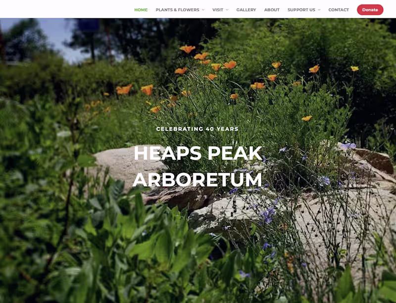 Cover image for Nonprofit Marketing & Support