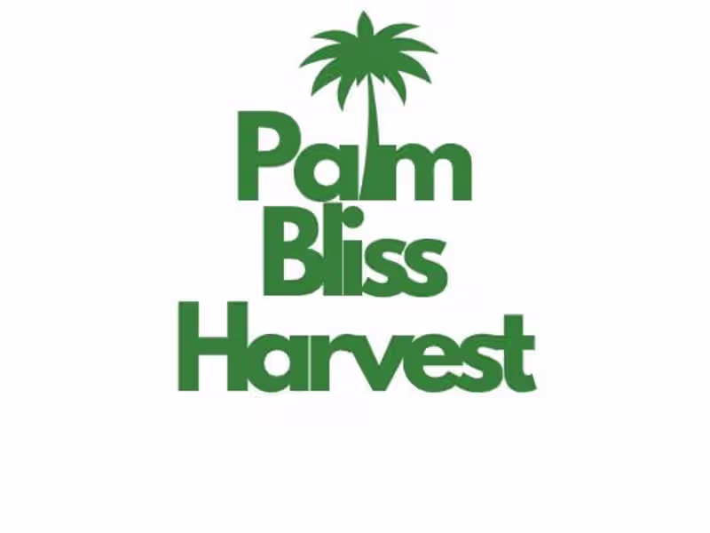 Cover image for Website Design & Brand Messaging for Invest in Palm