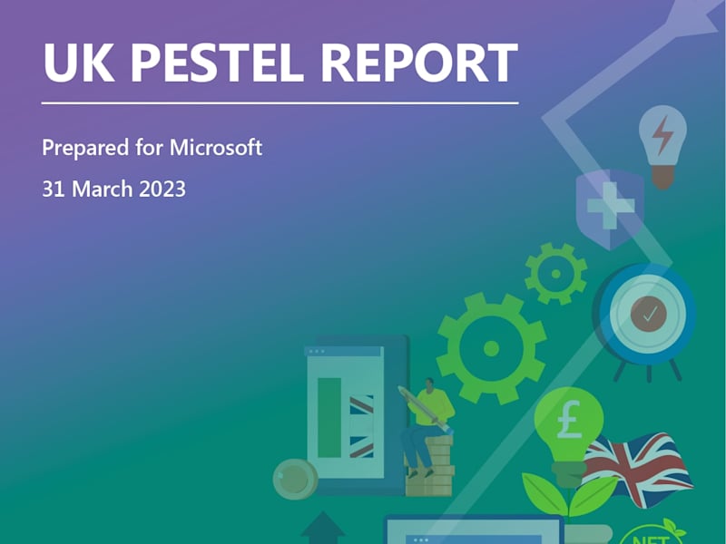 Cover image for Illustrated Infographics for PESTEL Report