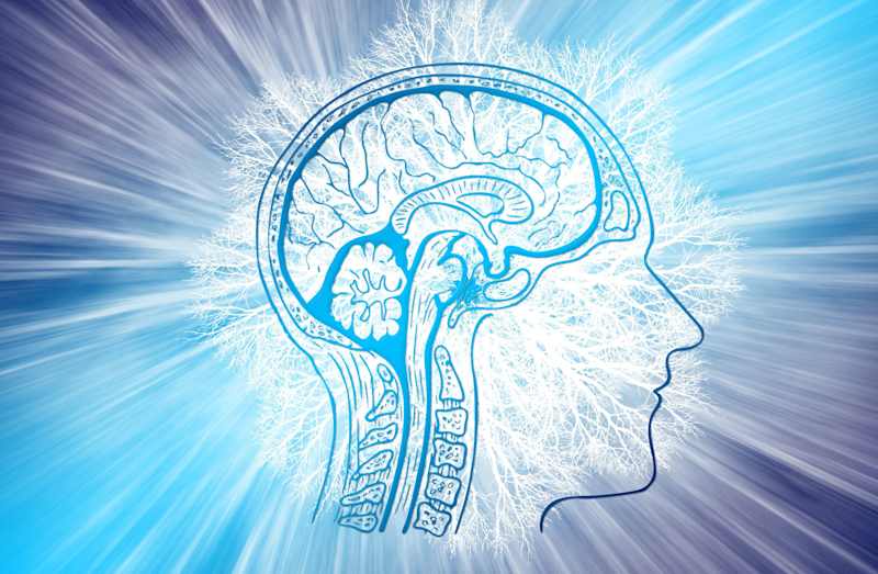 Cover image for Journalism - Do Psychedelics Change Beliefs?