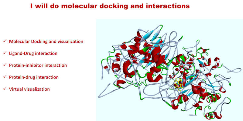 Cover image for Molecular docking