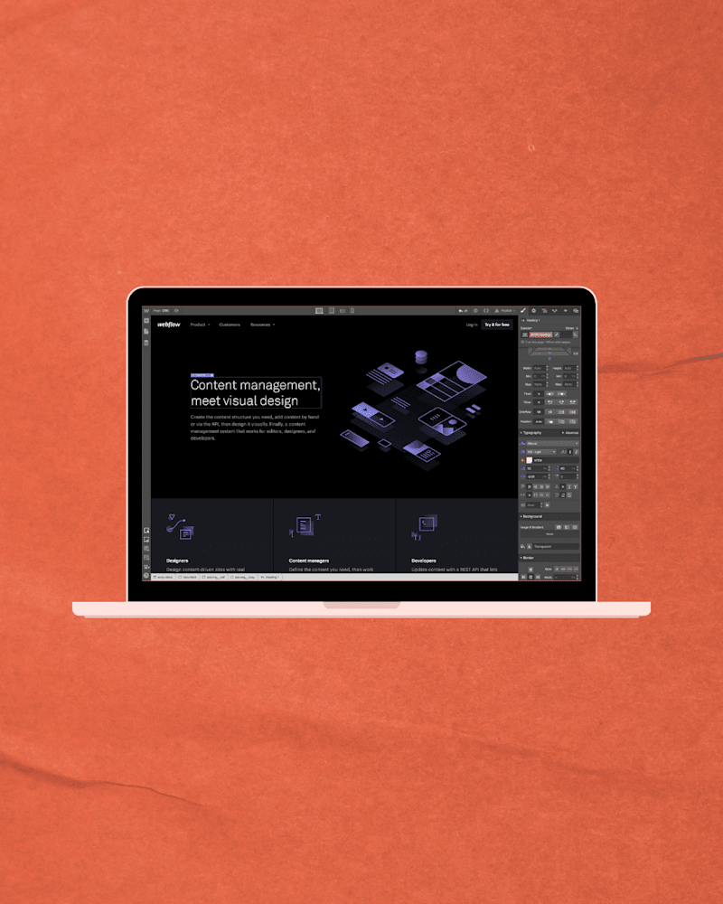 Cover image for Web Development