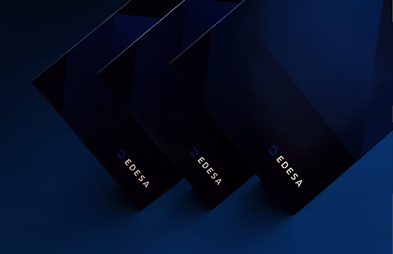 Cover image for Brand Identity and Web Design for EDESA