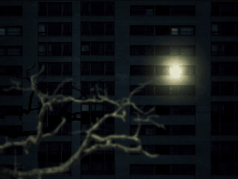 Cover image for 2D Image Manipulated Animation