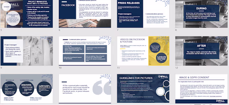 Cover image for Communication strategies and organisations objectives (DYPALL)
