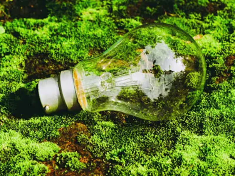 Cover image for Whitepaper Writing