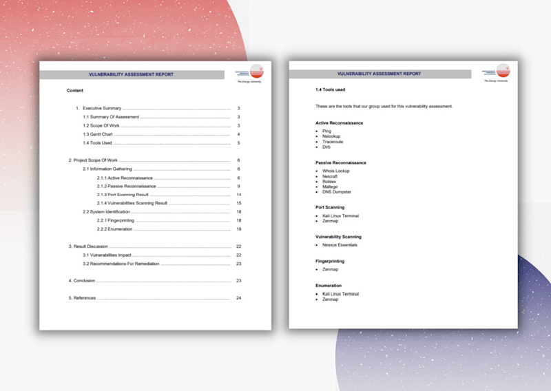 Cover image for Vulnerability Assessment Report