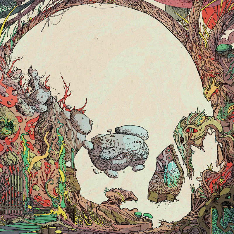 Cover image for KALVA
