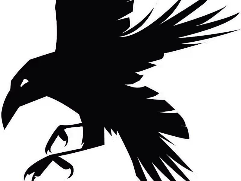 Cover image for Portfolio