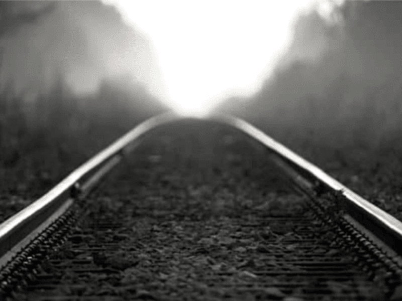 Cover image for Following the Tracks by Hailey Escobar - Coverfly
