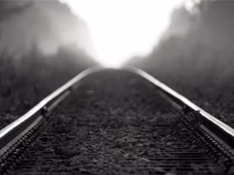 Cover image for Following the Tracks by Hailey Escobar - Coverfly