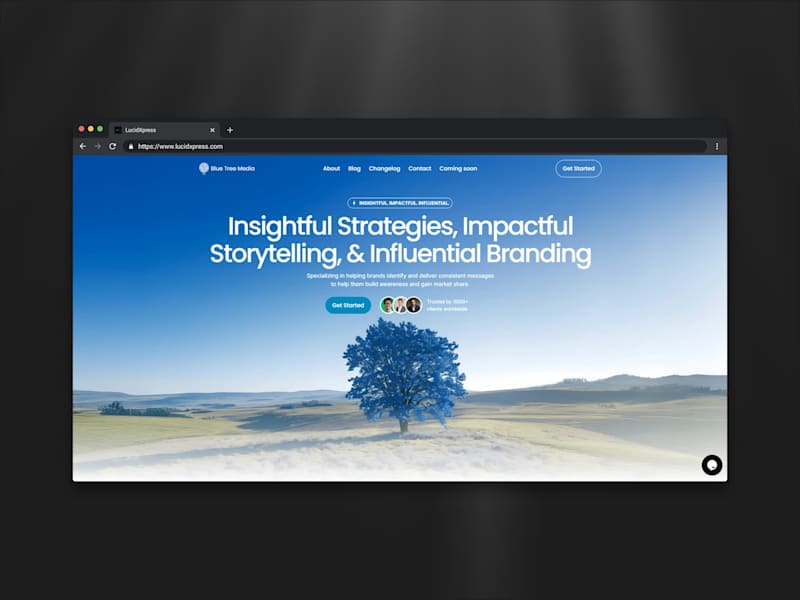 Cover image for Blue Tree Media Website Redesign