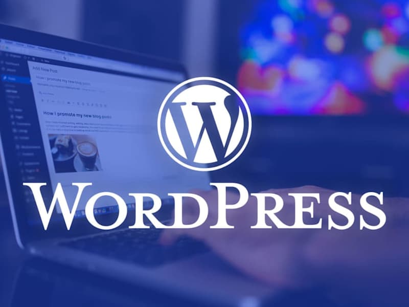 Cover image for Custom WordPress Solutions