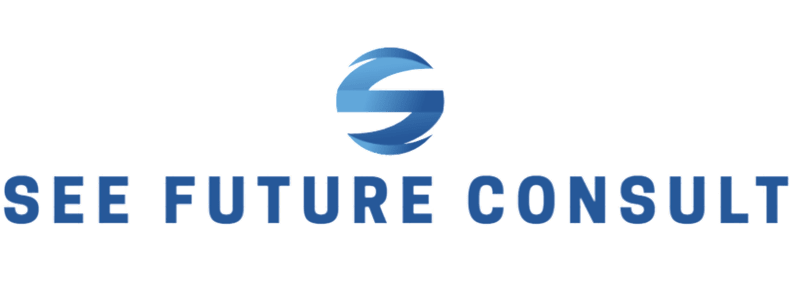 Cover image for See Future Consult