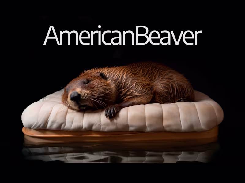 Cover image for American Beaver