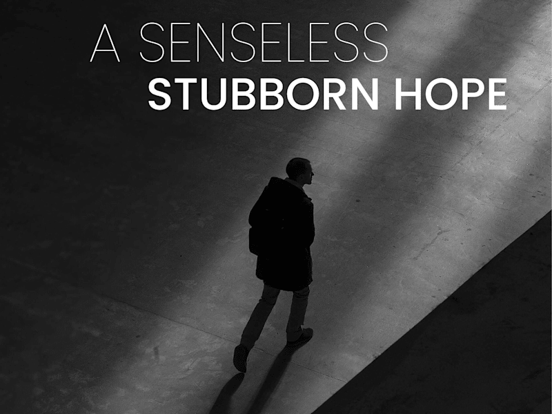 Cover image for A Senseless Stubborn Hope