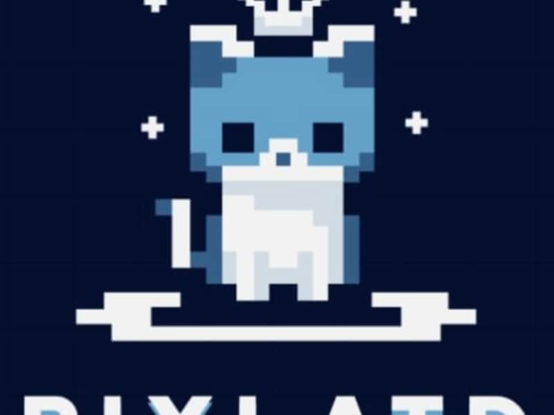 Cover image for Pixlatd