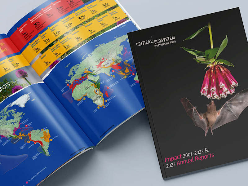 Cover image for Impact + Annual Combined Report° 