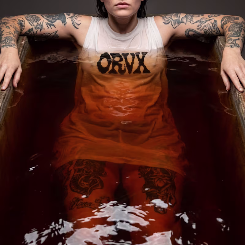 Cover image for ORVX Brand Identity Development