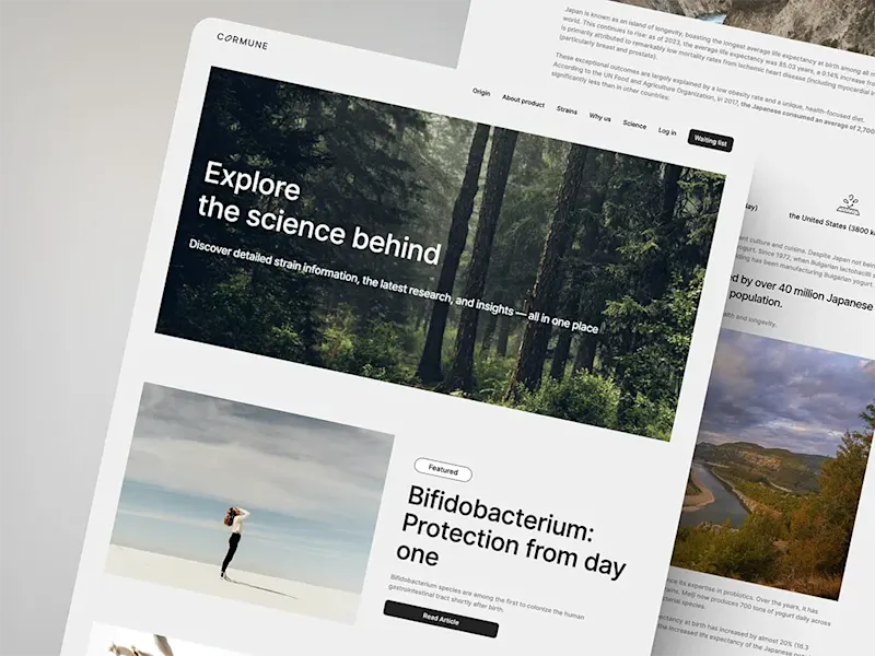 Cover image for Cormune Website Development
