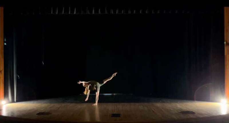 Cover image for HOMUNCULUS