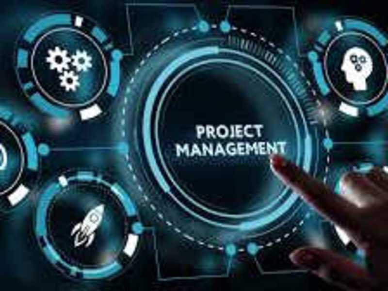 Cover image for Seamless Management of Projects within the project life cycle