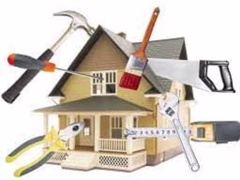 Cover image for Home improvement 