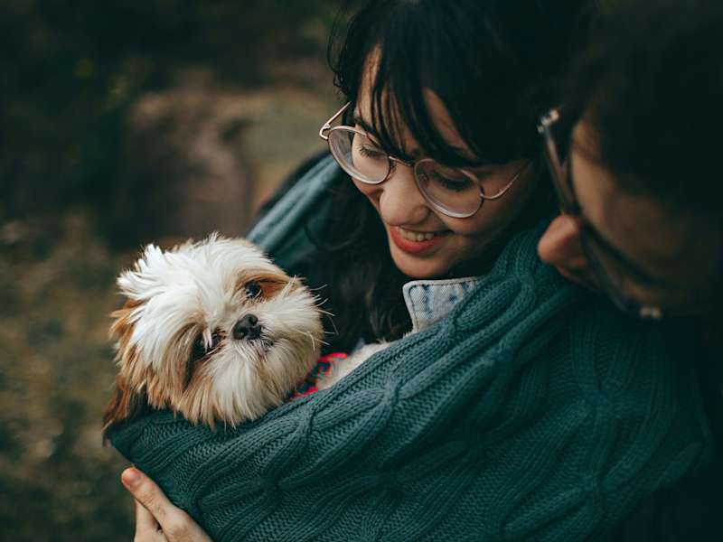 Cover image for Why Choose the Healthy Paws Pet Insurance Plan for Your Pet?