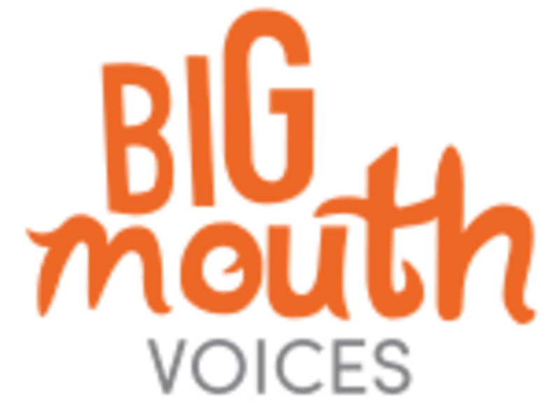 Cover image for BigMouth Voices