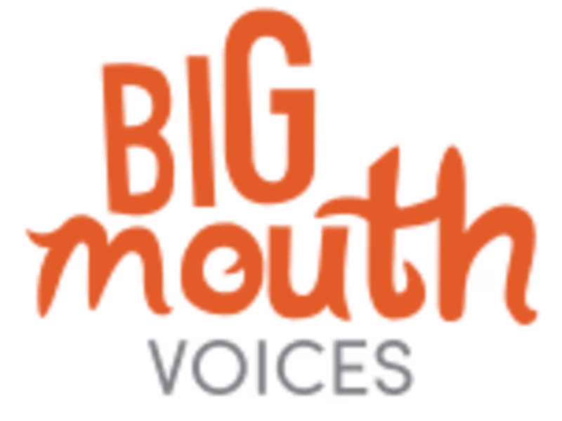 Cover image for BigMouth Voices