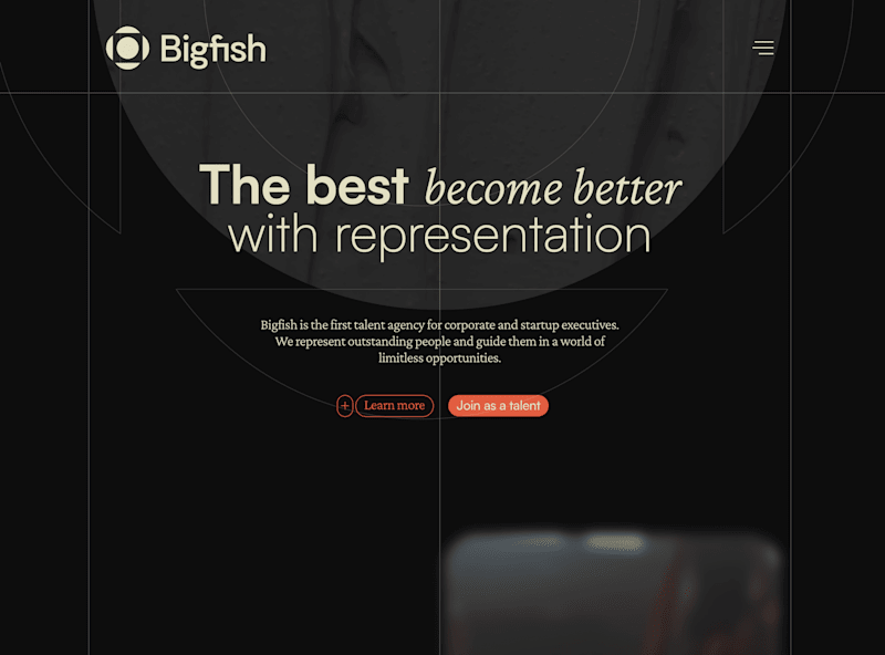 Cover image for BigFish
