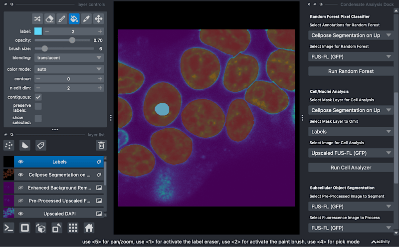 Cover image for PyCAT-Napari Bio-image Analysis Platform