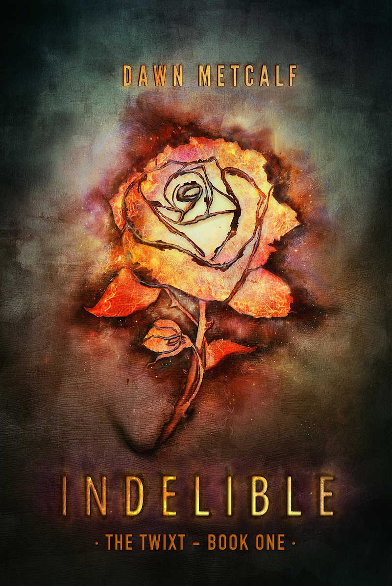Cover image for The Twist - Indelible Book Cover Artwork