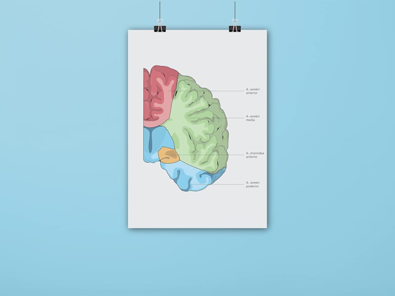 Cover image for Custom Infographic Design