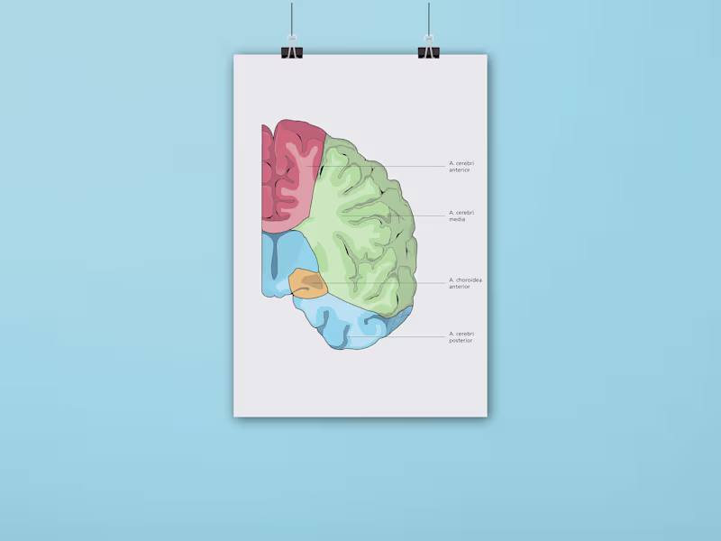 Cover image for Custom Infographic Design
