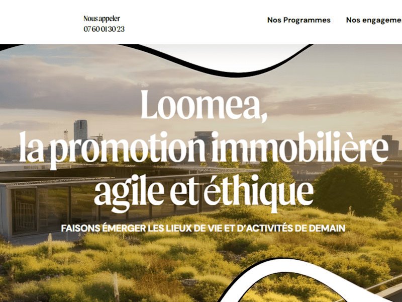 Cover image for Loomea